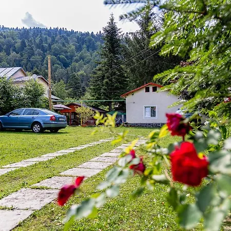 Gasthuis Pensiunea Montan Buşteni