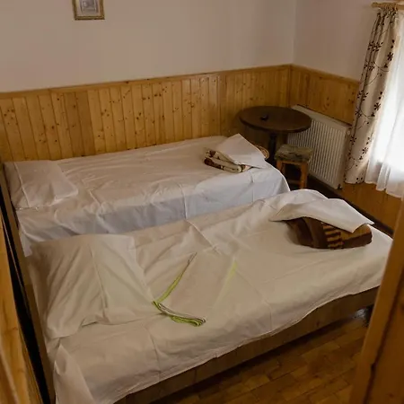 Gasthuis Pensiunea Montan Buşteni