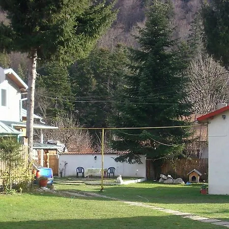 Gasthuis Pensiunea Montan Buşteni