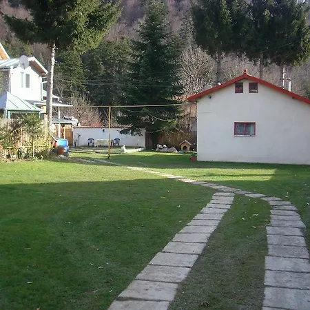 Pensiunea Montan