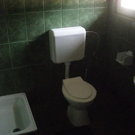 Gasthuis Pensiunea Montan Buşteni